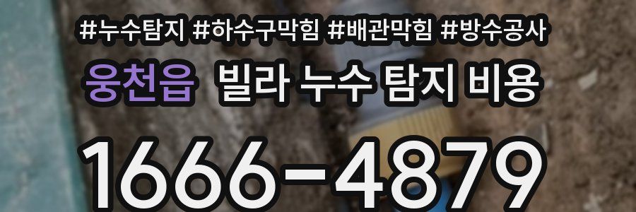 웅천읍 빌라 누수 탐지 비용
