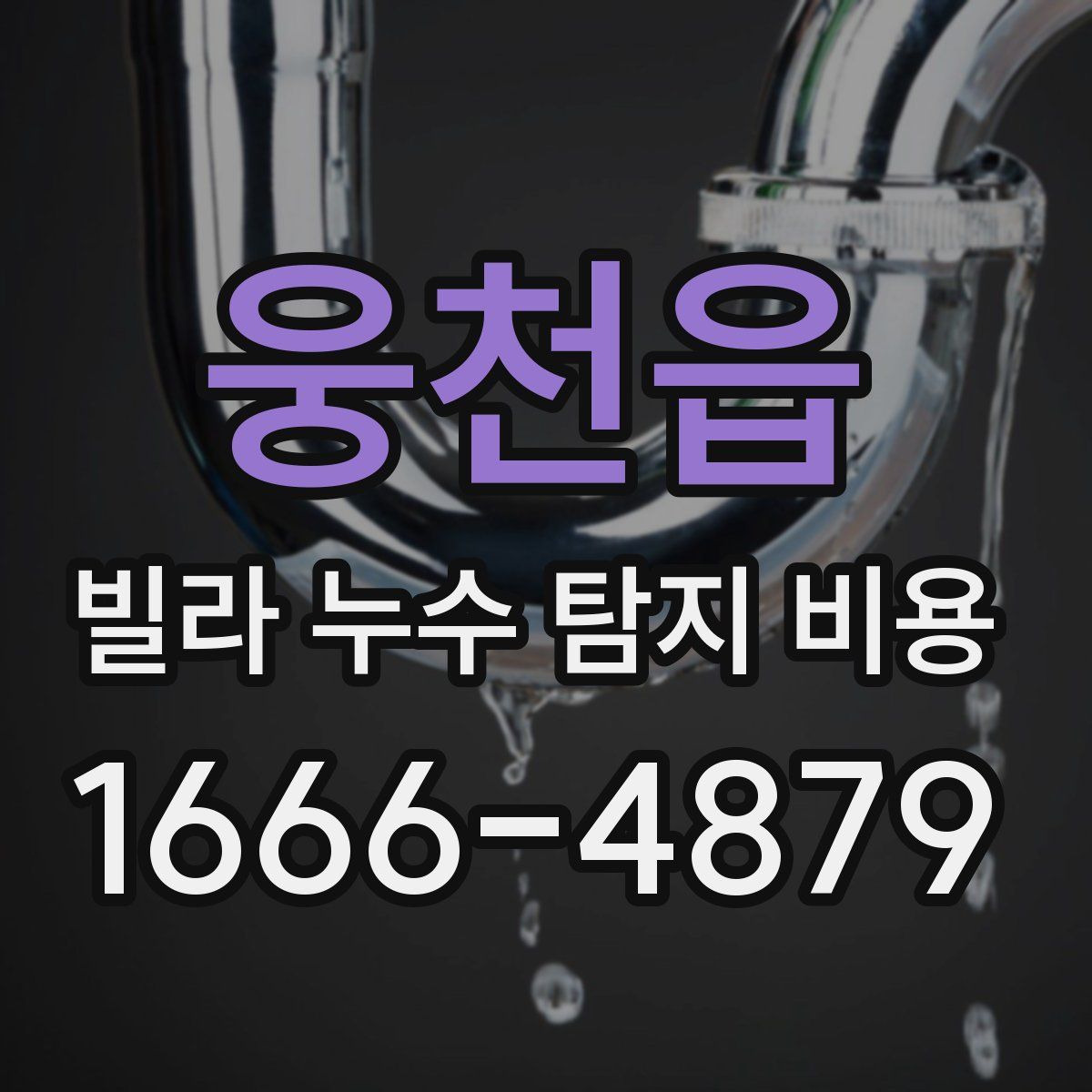 웅천읍 빌라 누수 탐지 비용