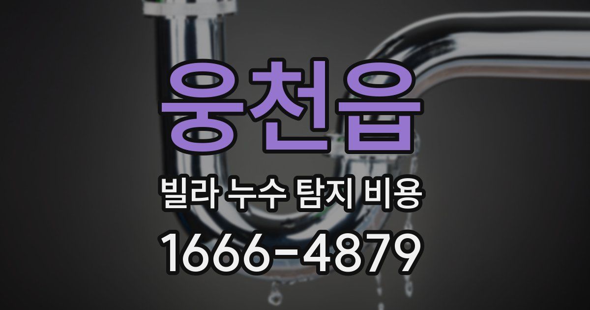 웅천읍 빌라 누수 탐지 비용