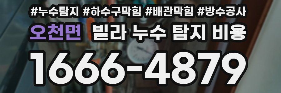 오천면 빌라 누수 탐지 비용