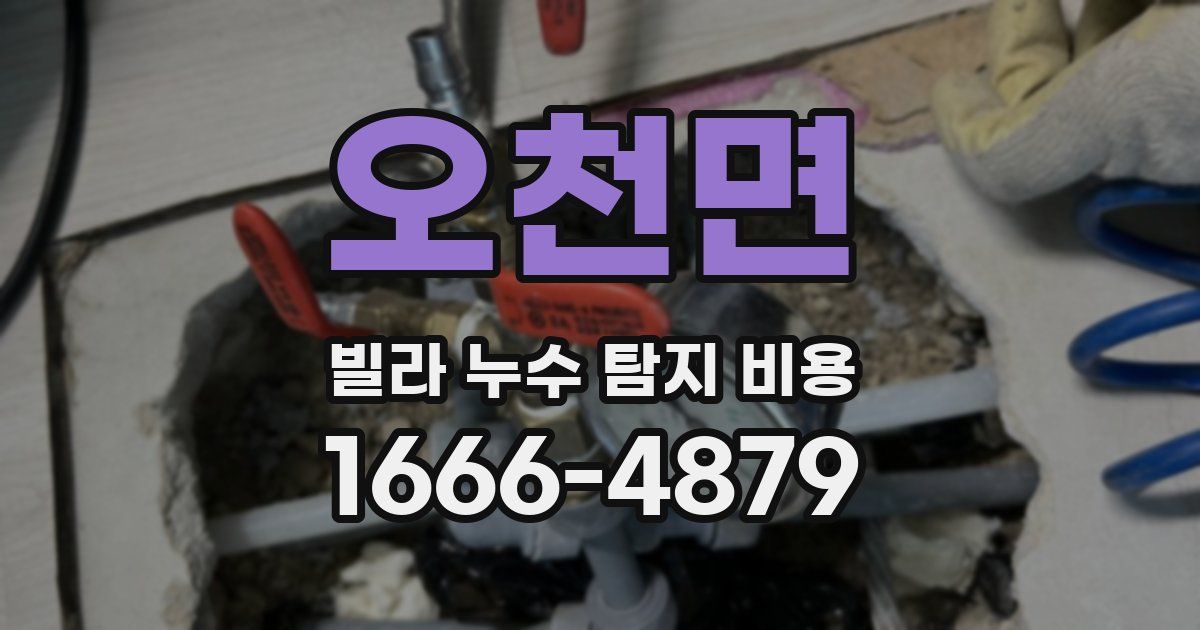 오천면 빌라 누수 탐지 비용