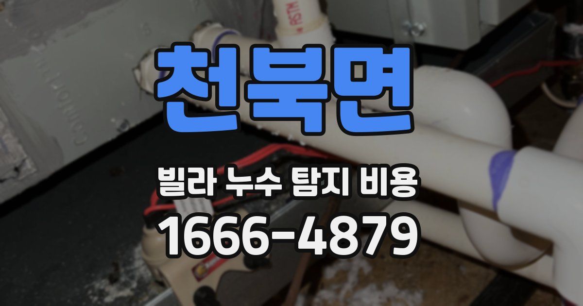 천북면 빌라 누수 탐지 비용