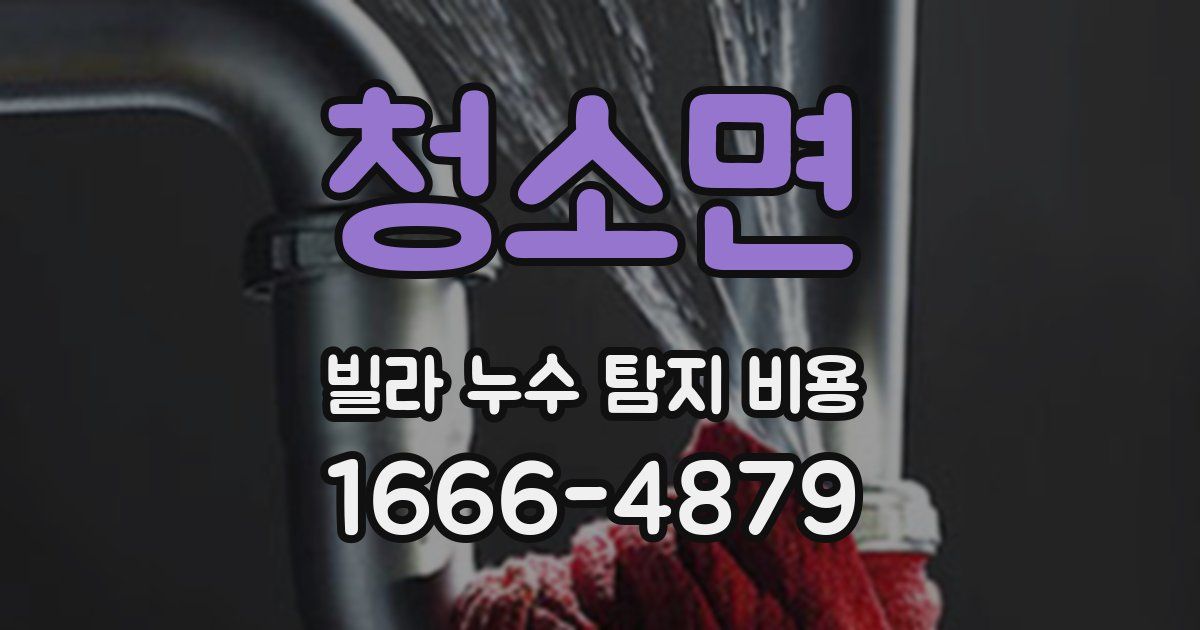 청소면 빌라 누수 탐지 비용