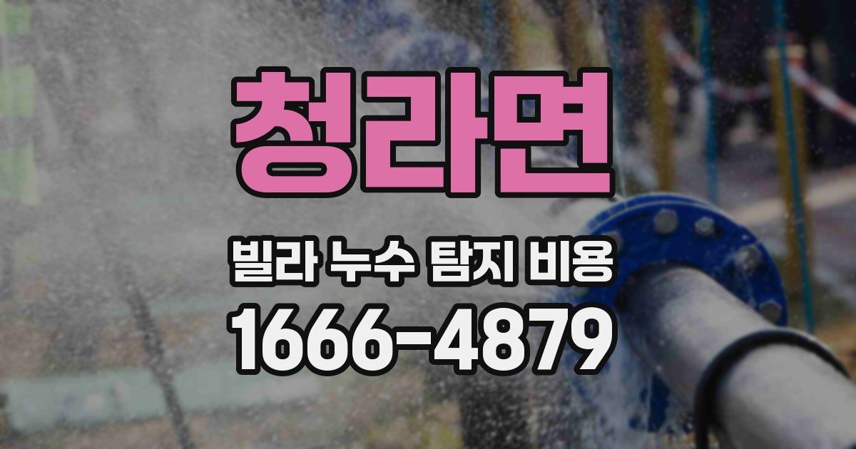 청라면 빌라 누수 탐지 비용