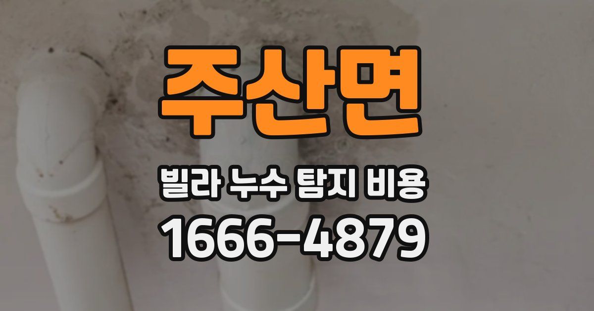 주산면 빌라 누수 탐지 비용