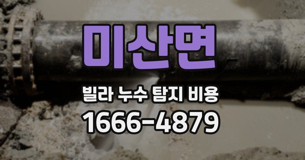 미산면 빌라 누수 탐지 비용