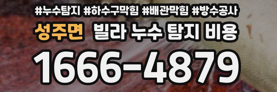 성주면 빌라 누수 탐지 비용