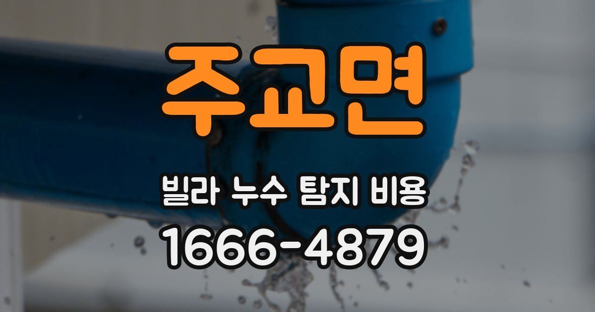 주교면 빌라 누수 탐지 비용