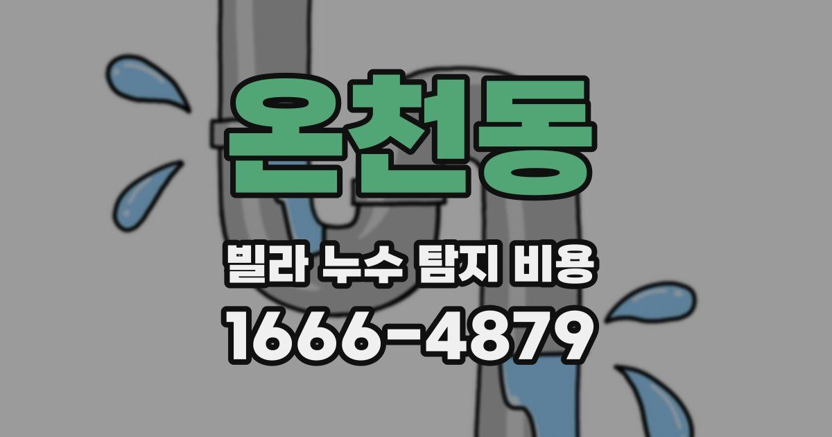온천동 빌라 누수 탐지 비용