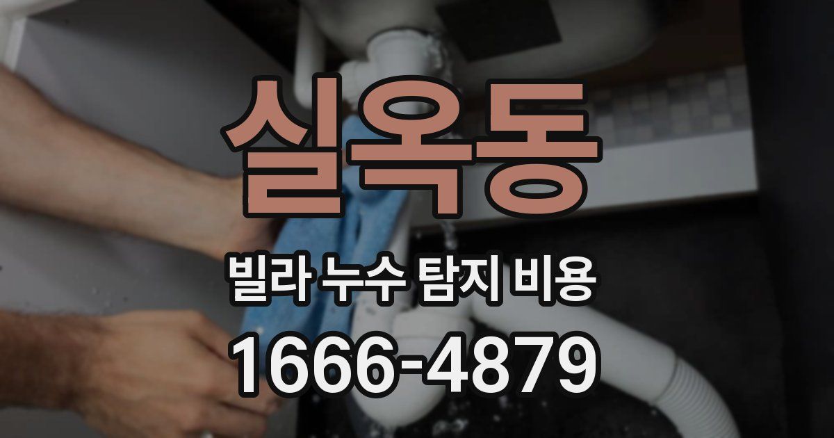 실옥동 빌라 누수 탐지 비용