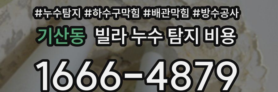 기산동 빌라 누수 탐지 비용