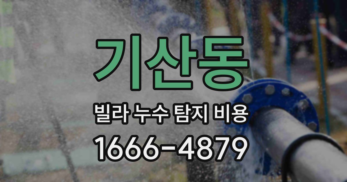 기산동 빌라 누수 탐지 비용