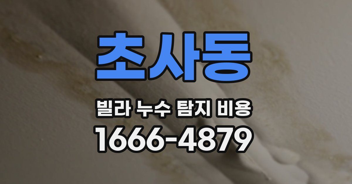 초사동 빌라 누수 탐지 비용