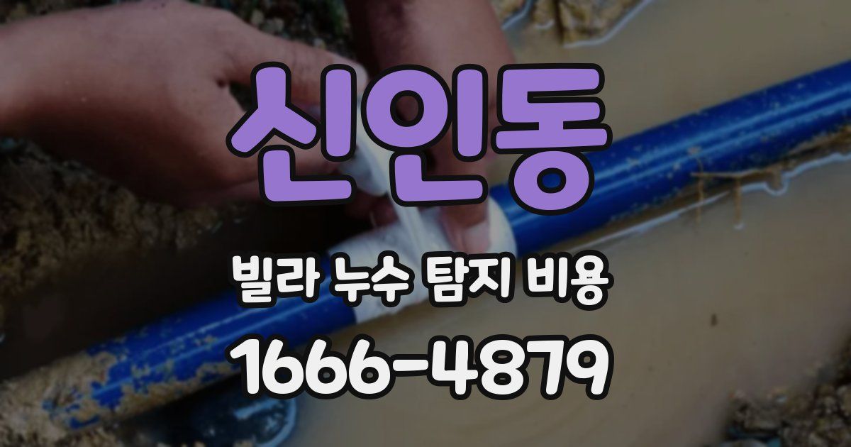 신인동 빌라 누수 탐지 비용