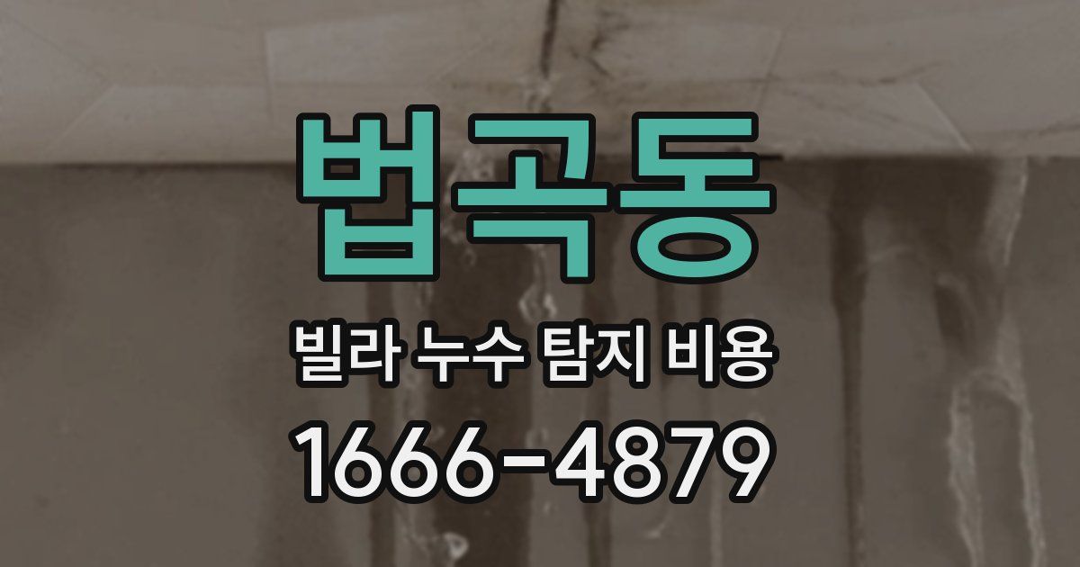 법곡동 빌라 누수 탐지 비용