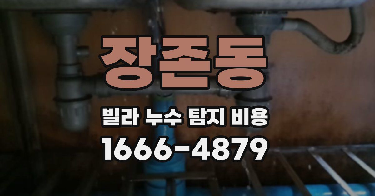 장존동 빌라 누수 탐지 비용