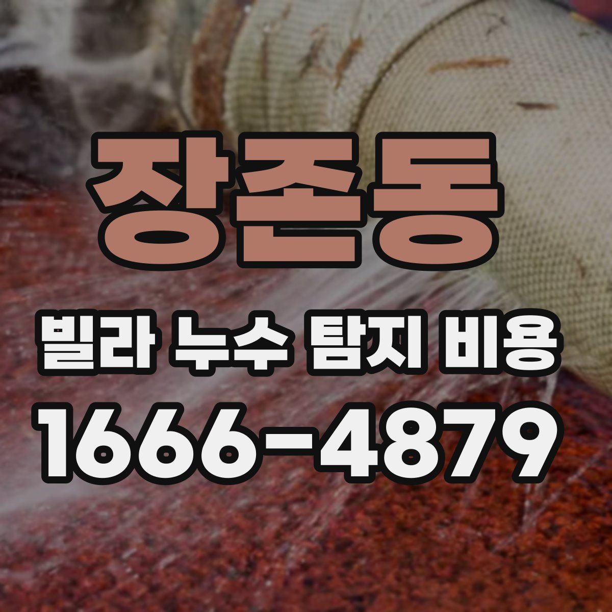 장존동 빌라 누수 탐지 비용