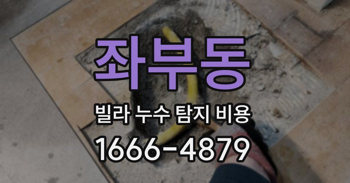 좌부동 빌라 누수 탐지 비용