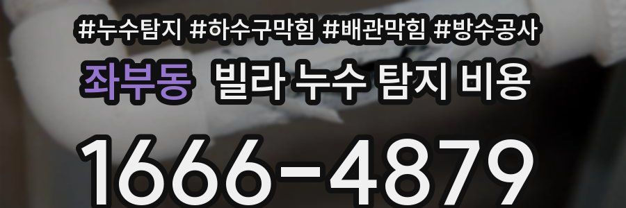 좌부동 빌라 누수 탐지 비용