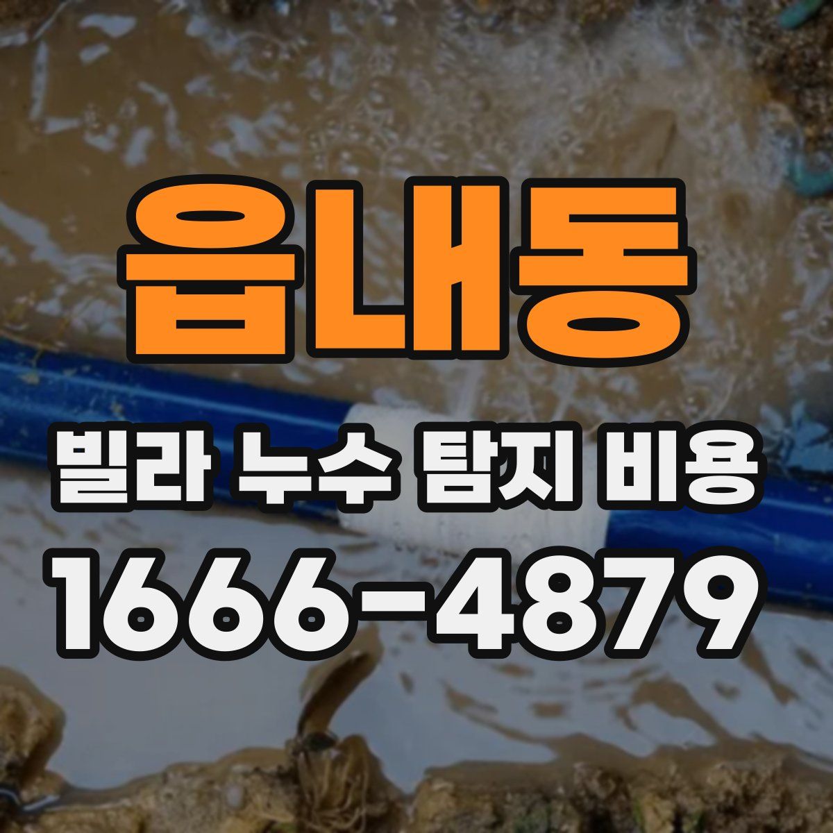 읍내동 빌라 누수 탐지 비용
