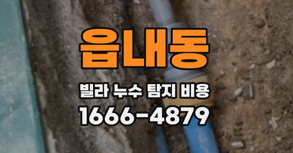 읍내동 빌라 누수 탐지 비용