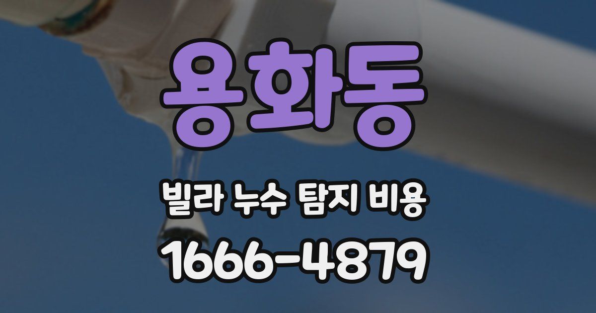 용화동 빌라 누수 탐지 비용