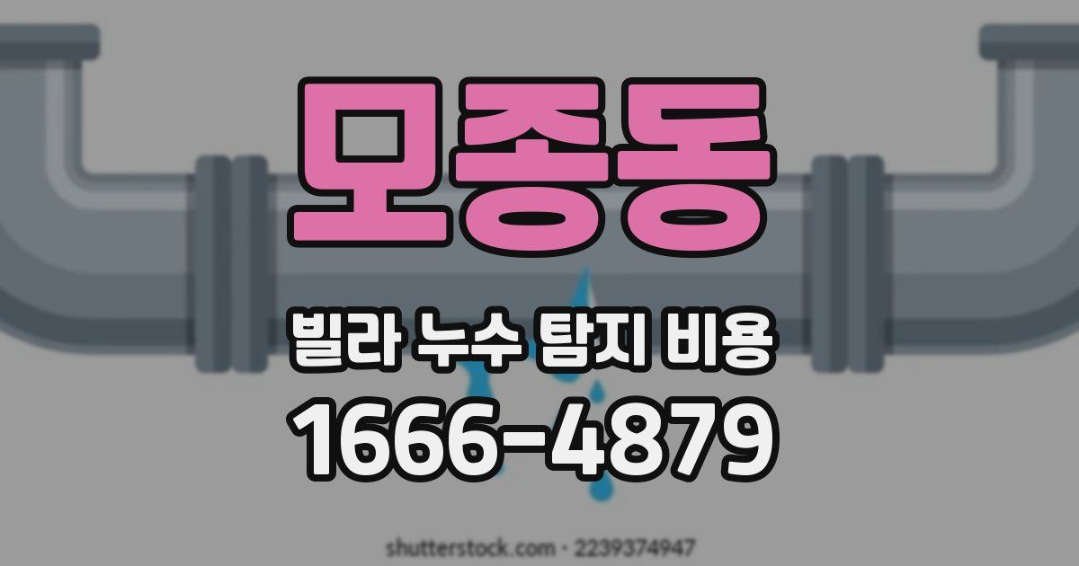 모종동 빌라 누수 탐지 비용