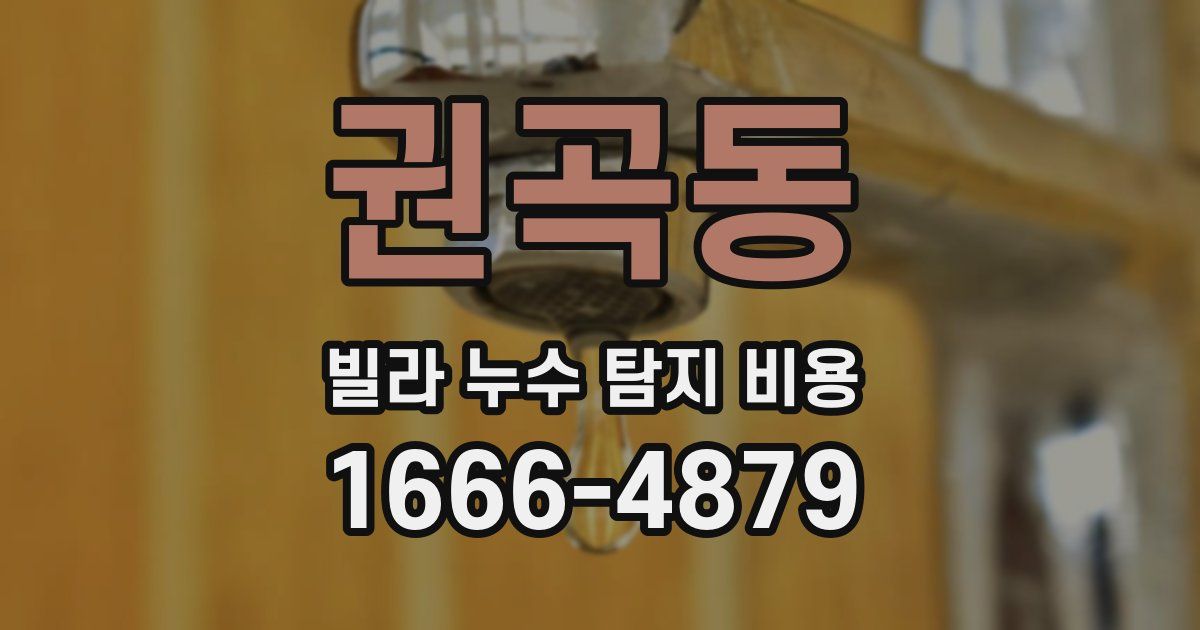 권곡동 빌라 누수 탐지 비용