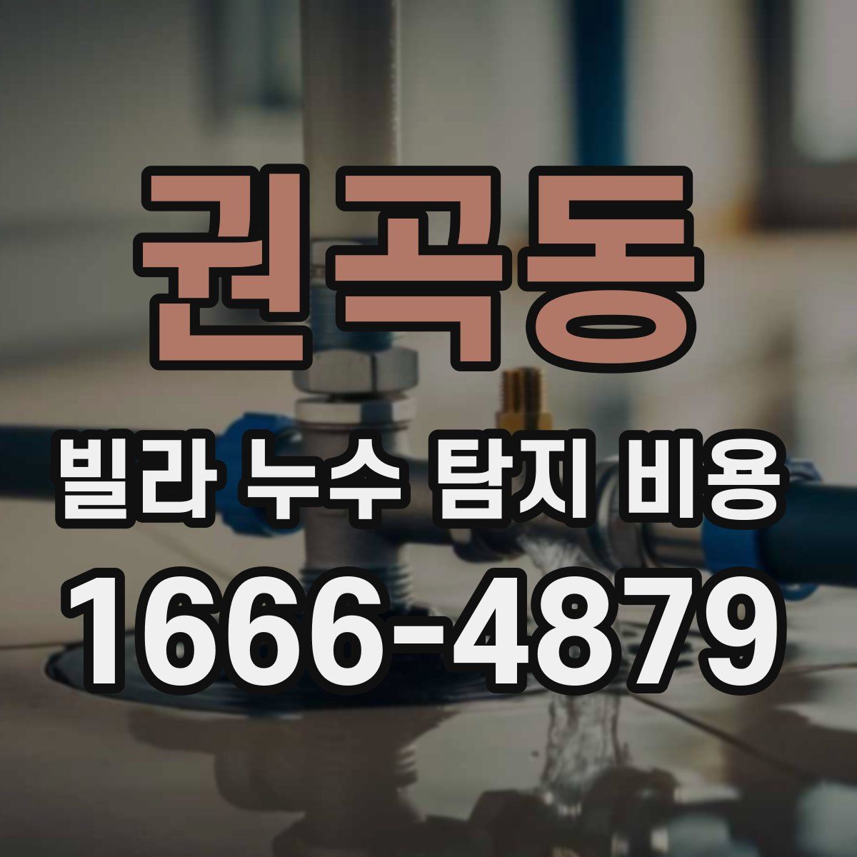 권곡동 빌라 누수 탐지 비용