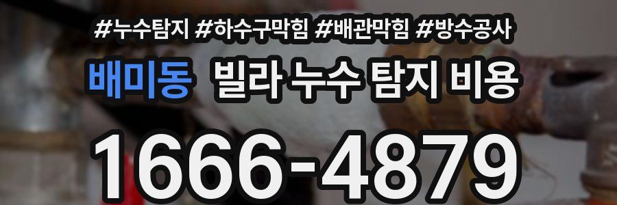 배미동 빌라 누수 탐지 비용