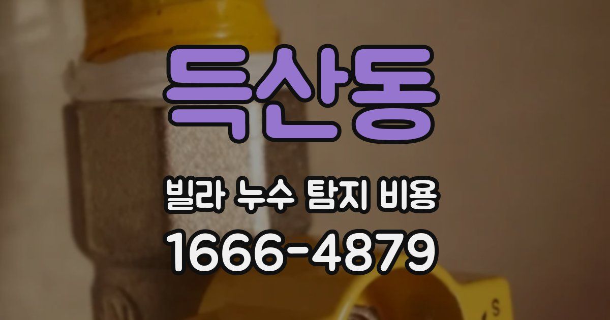 득산동 빌라 누수 탐지 비용
