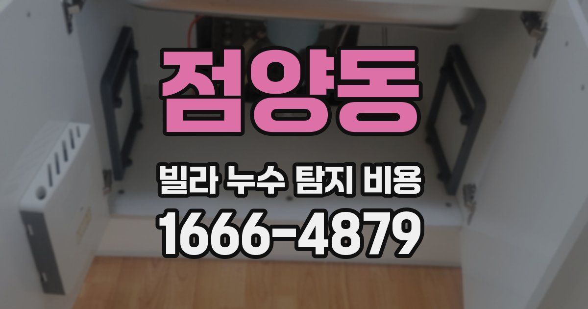 점양동 빌라 누수 탐지 비용