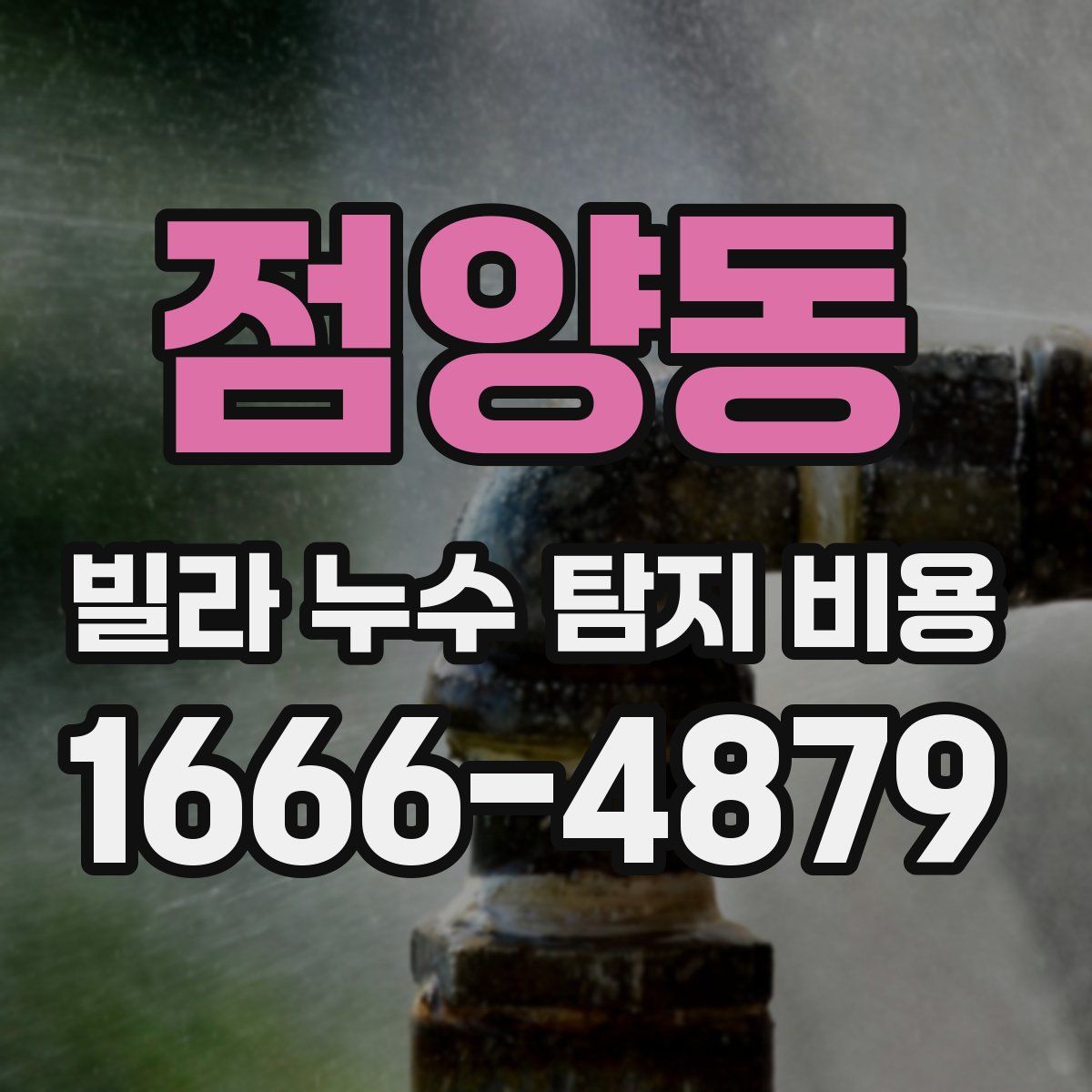점양동 빌라 누수 탐지 비용