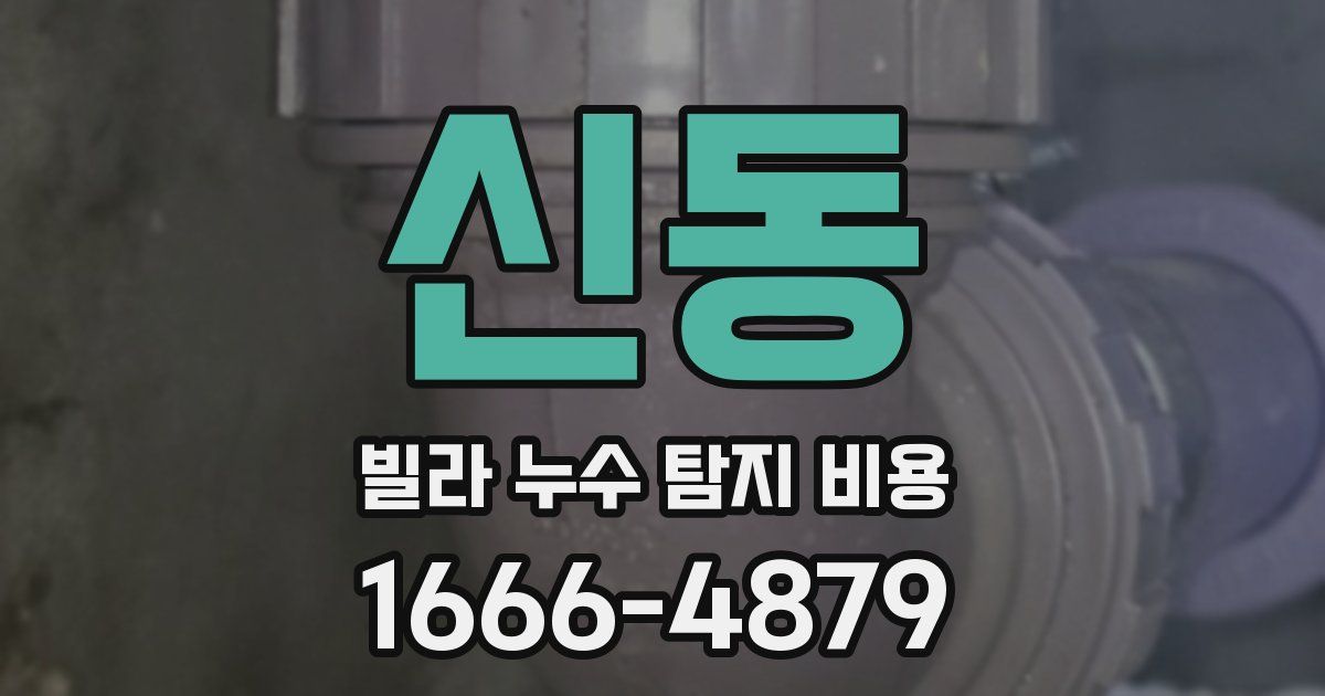 신동 빌라 누수 탐지 비용