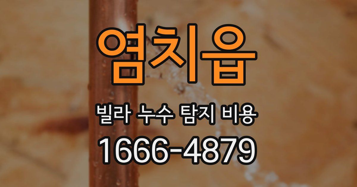 염치읍 빌라 누수 탐지 비용