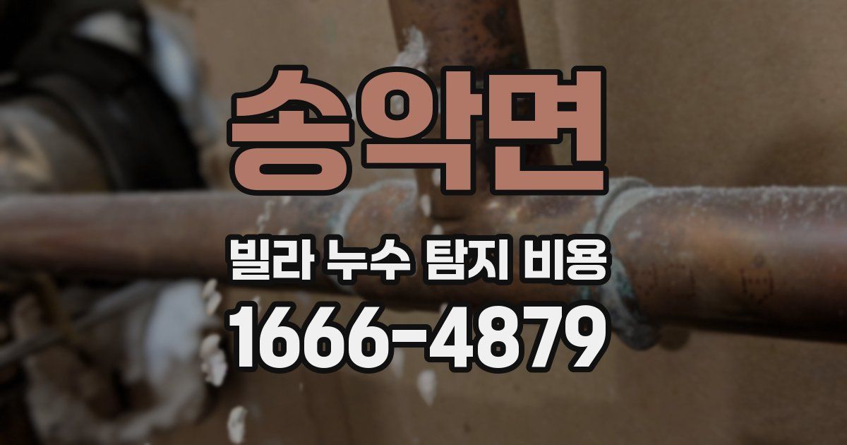 송악면 빌라 누수 탐지 비용