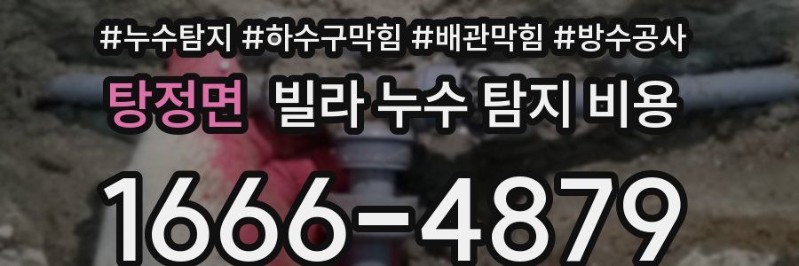 탕정면 빌라 누수 탐지 비용