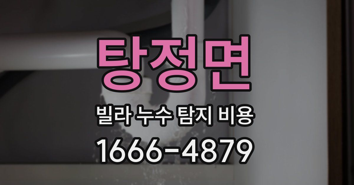 탕정면 빌라 누수 탐지 비용