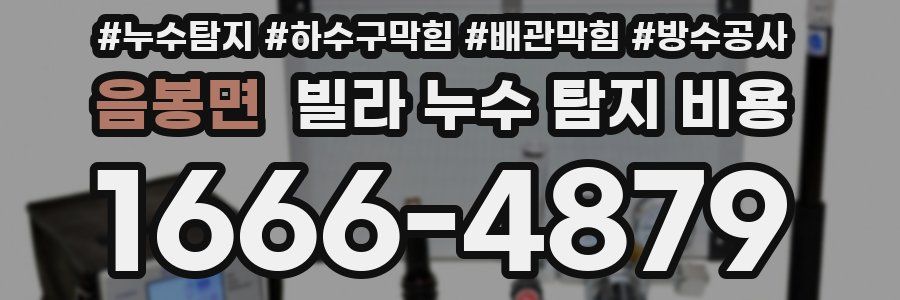 음봉면 빌라 누수 탐지 비용
