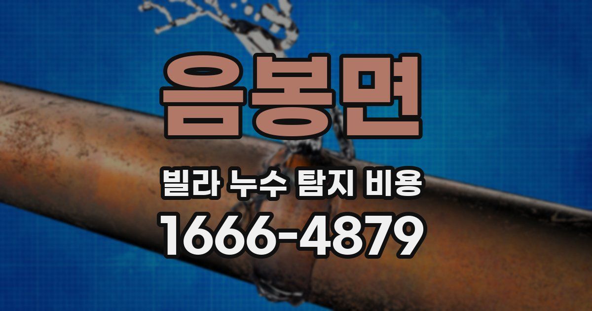 음봉면 빌라 누수 탐지 비용