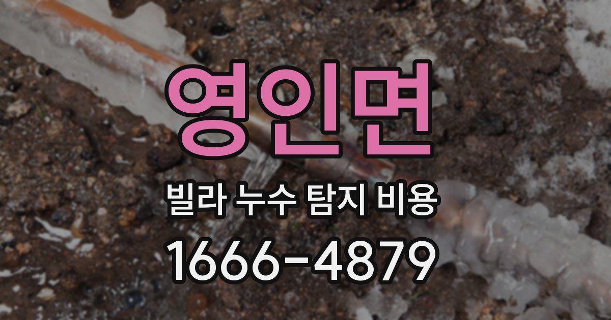 영인면 빌라 누수 탐지 비용