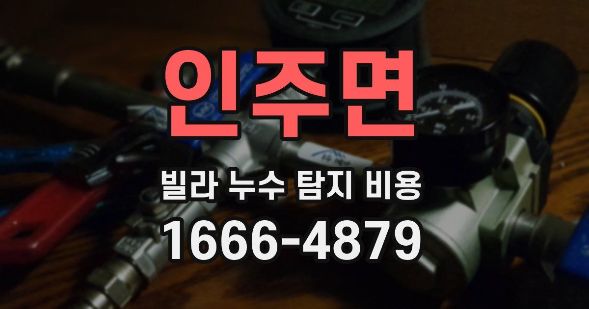 인주면 빌라 누수 탐지 비용
