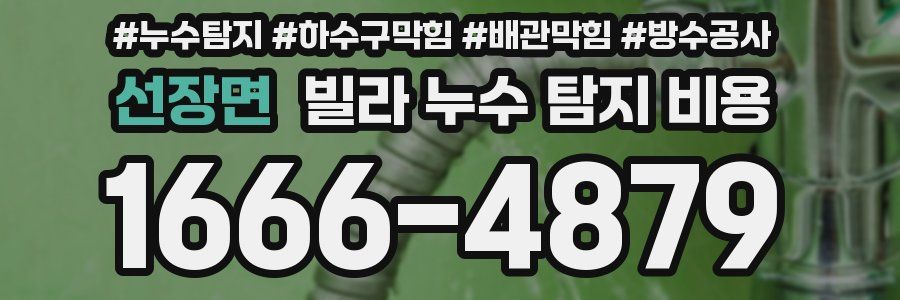 선장면 빌라 누수 탐지 비용