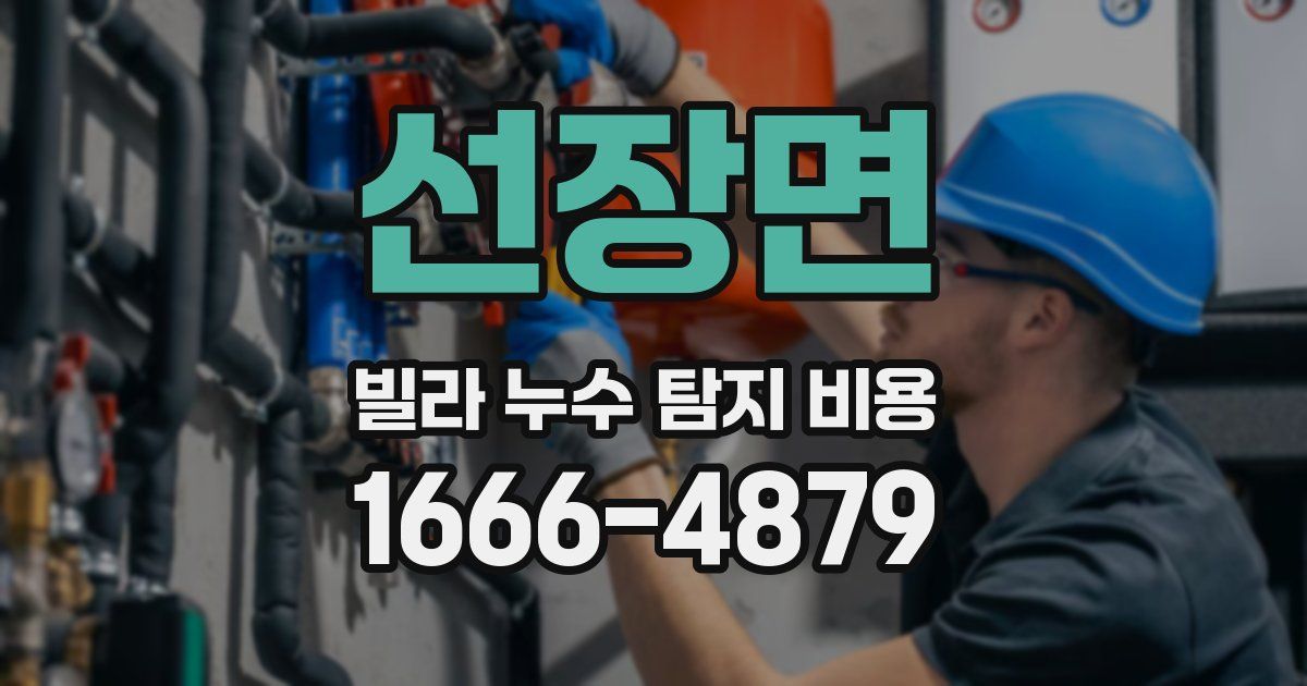선장면 빌라 누수 탐지 비용