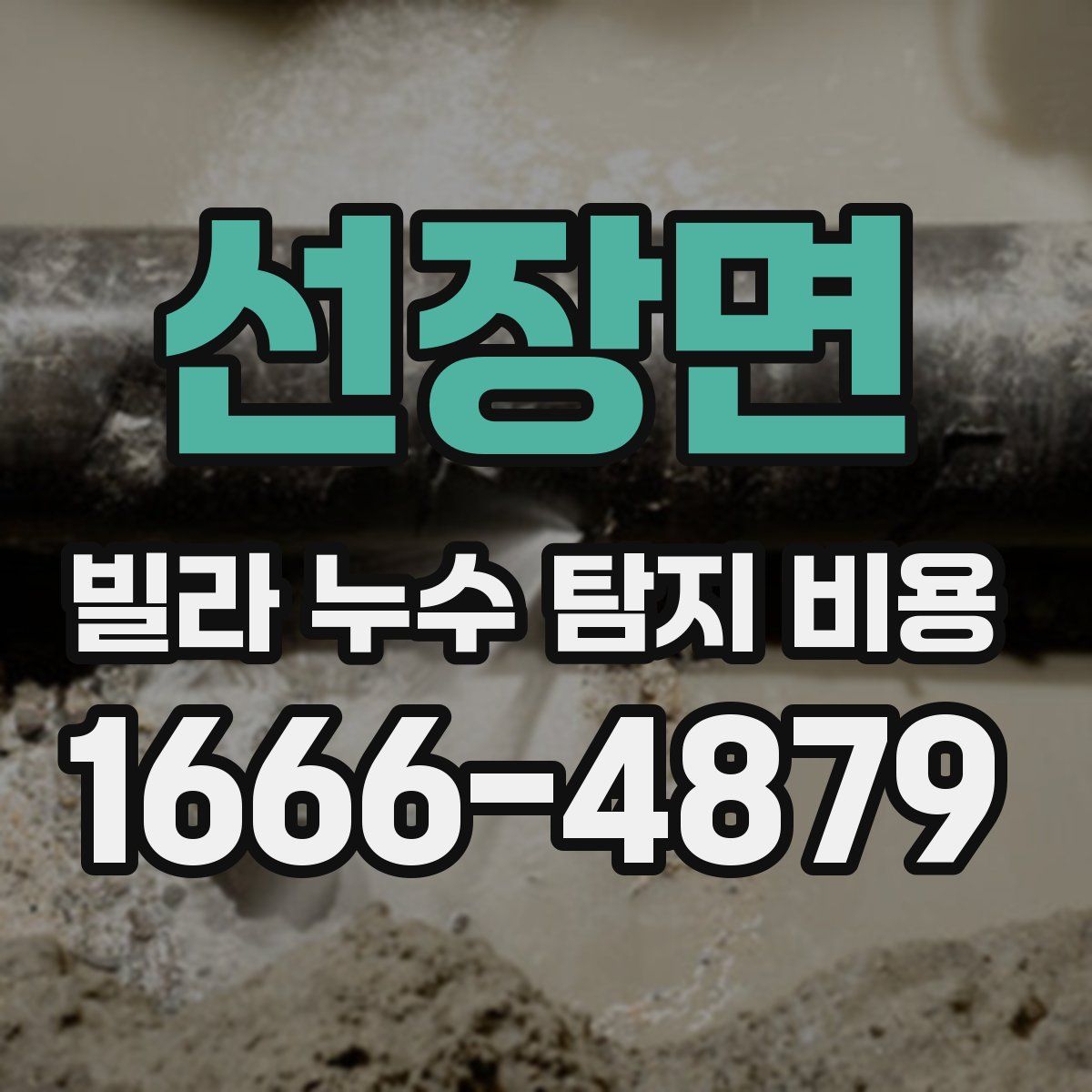선장면 빌라 누수 탐지 비용