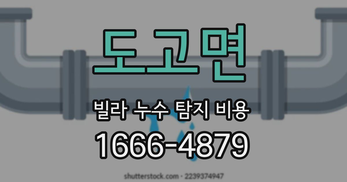 도고면 빌라 누수 탐지 비용