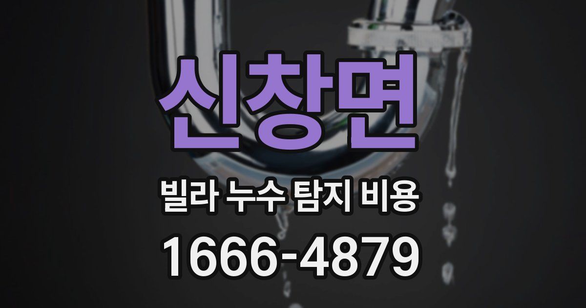 신창면 빌라 누수 탐지 비용