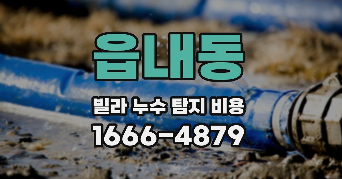 읍내동 빌라 누수 탐지 비용