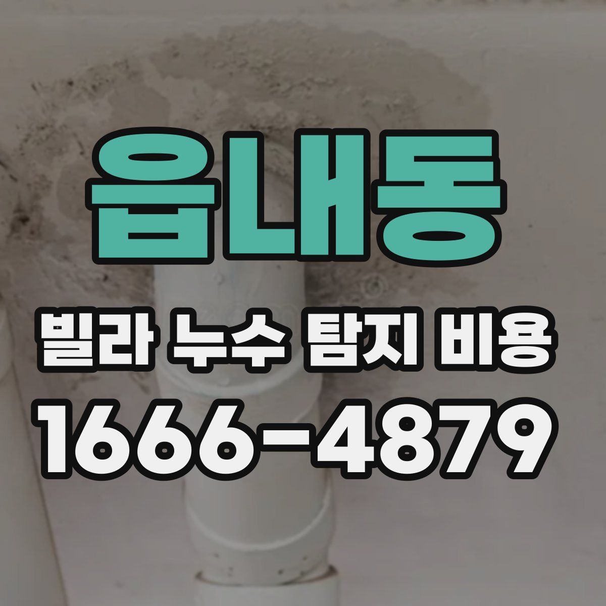 읍내동 빌라 누수 탐지 비용