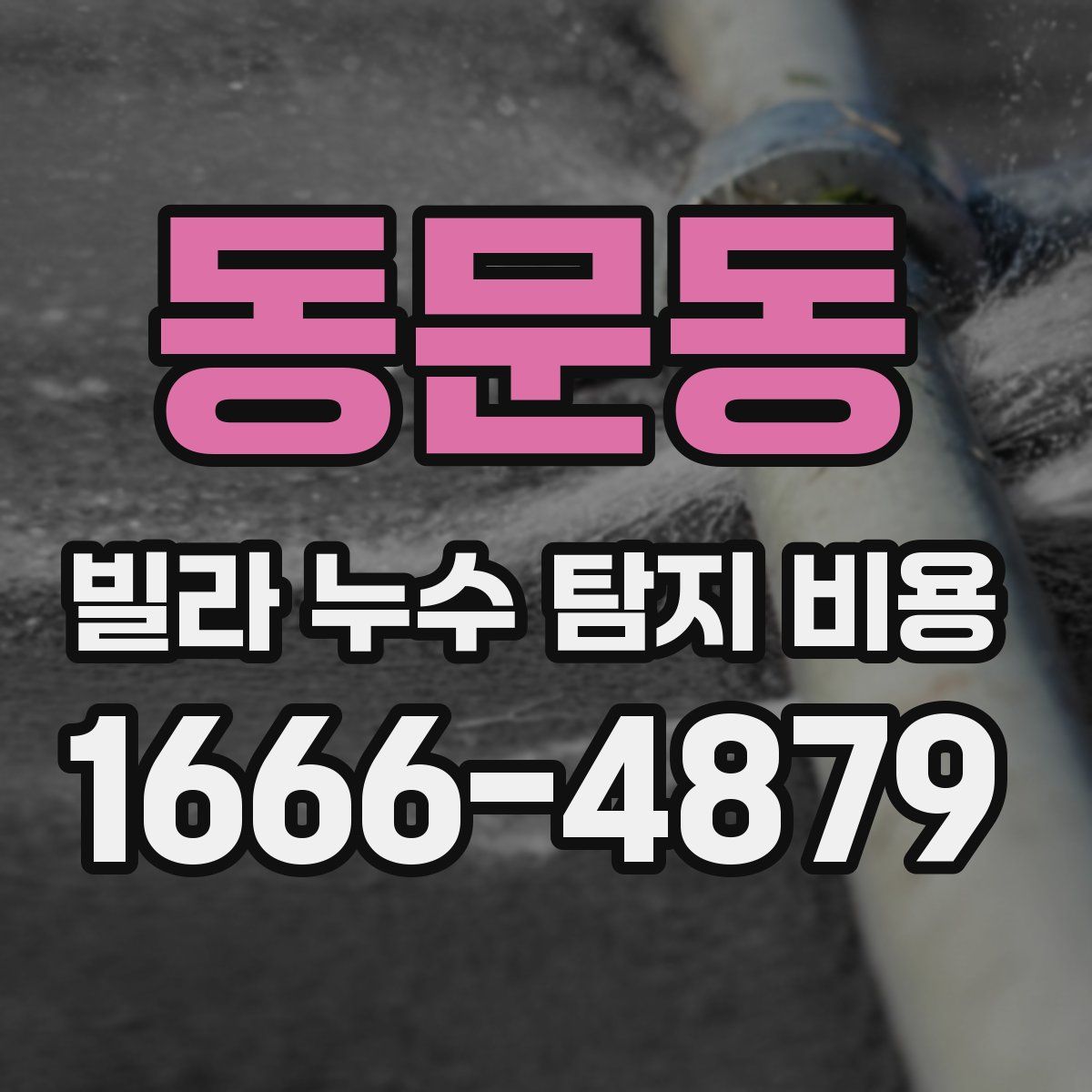 동문동 빌라 누수 탐지 비용